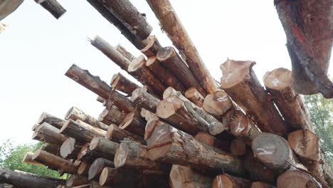 cinematic shot of stacked lumber at a large industrial logging site