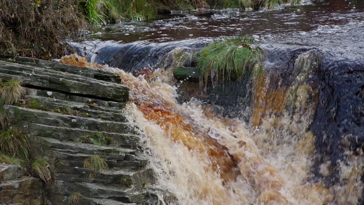Serene autumn-winter woodland scene, a meandering stream flows over rocks, creating small waterfalls