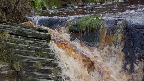 serene autumn-winter woodland scene, a meandering stream flows over rocks, creating small waterfalls