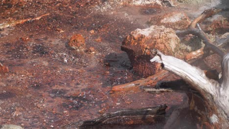 Nahaufnahme-Der-Black-Pit-Spring-In-Yellowstone