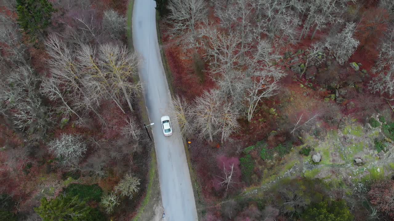 Riprese aeree con tracciamento di due auto che guidano su una tipica strada svedese nella foresta