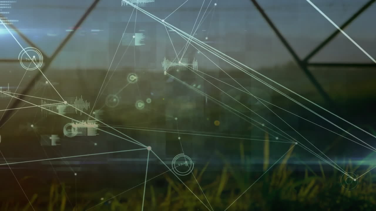 Abstract network overlay moving above grass field, highlighting digital nodes, holographic circles