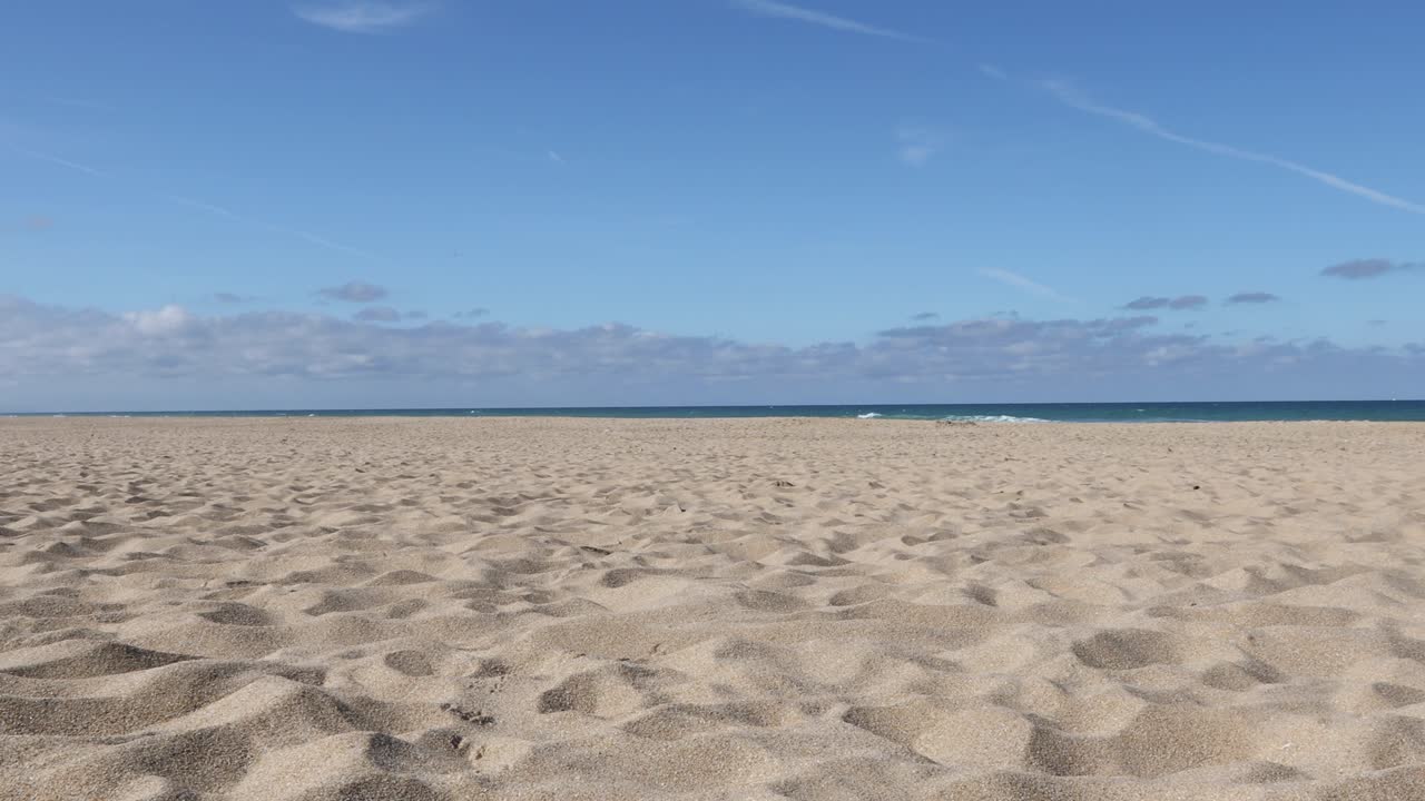 해변의 모래에 추적