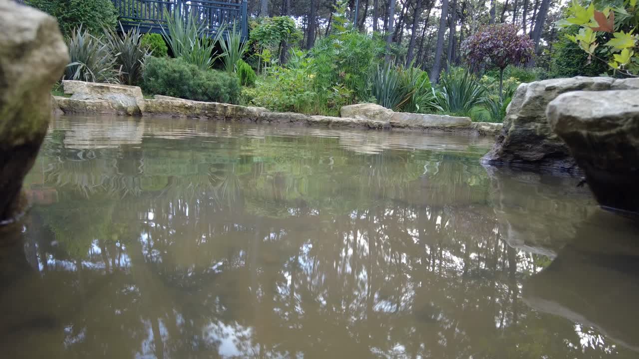 un estanque sereno en un jardín exuberante