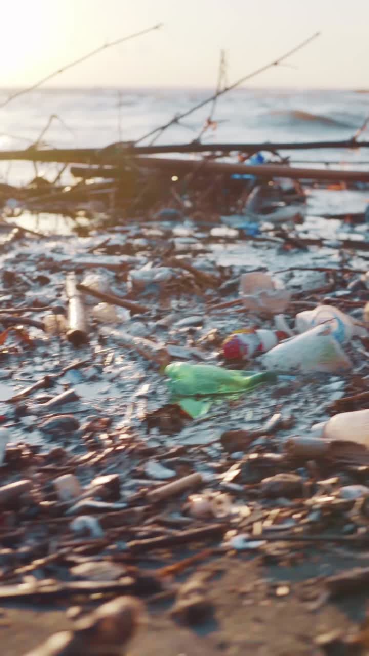 Plastic trash and branches on beach near ocean water with smooth camera movement