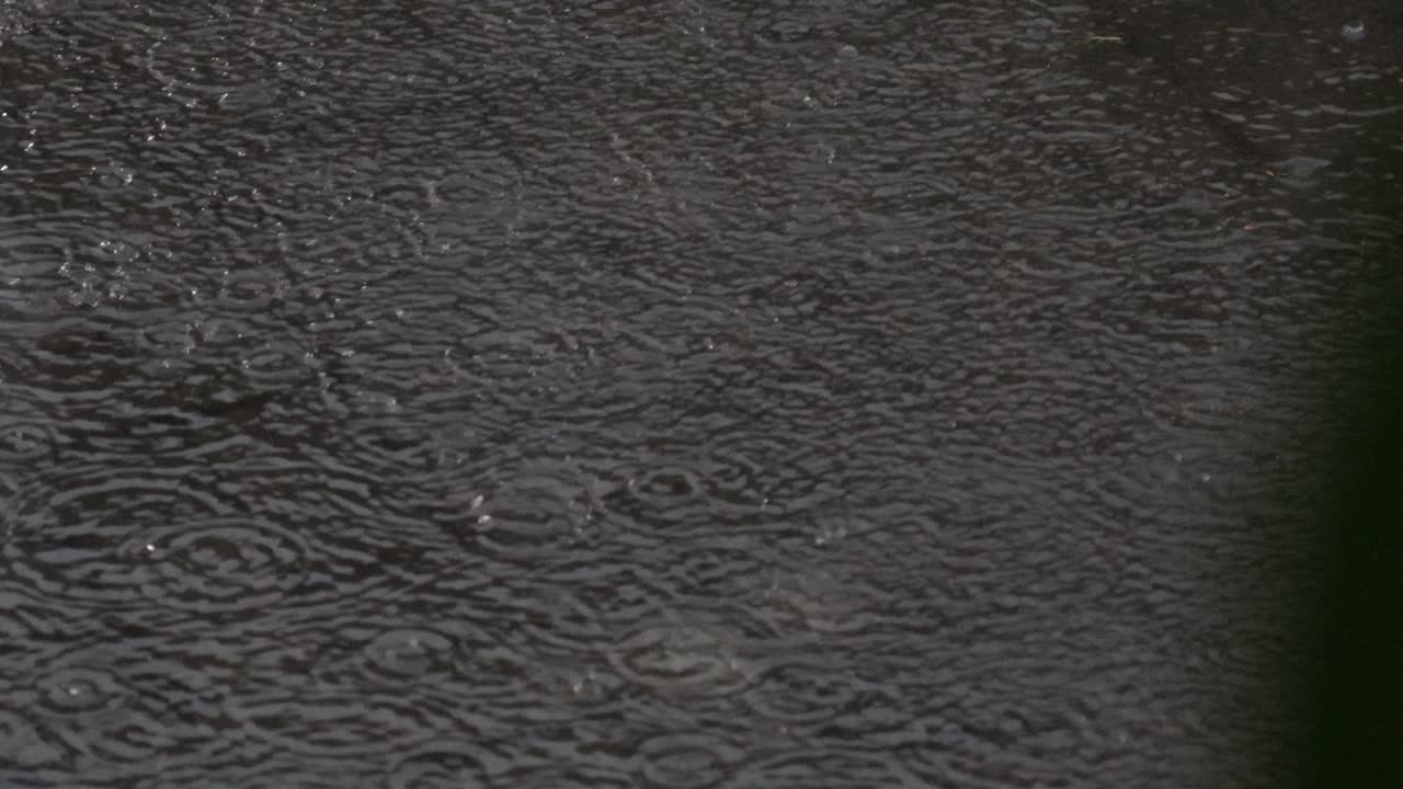 lluvia fuerte, gotas de lluvia en la superficie del río con un patrón irregular