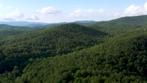 untouched nature forest landscape in georgia's appalachian mountains - aerial