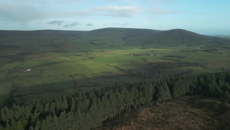 Bosque-De-Pinos-De-La-Campiña-Inglesa-Y-Paso-Elevado-De-Campos-Verdes-En-Beacon-Fell-Country-Park