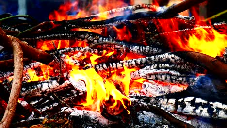 close-up of burning fire flame with burnt firewood.