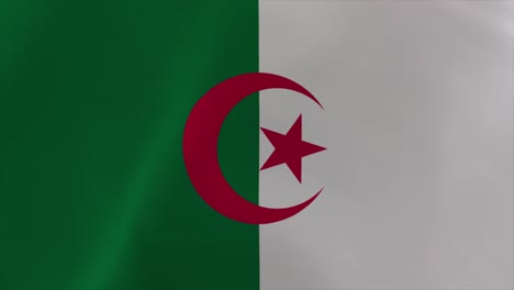algerian waving flag 4k moving wallpaper background
