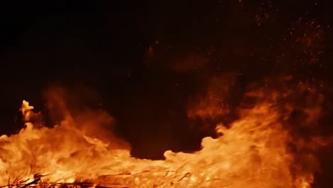 flames engulfing branches and wood, creating a mesmerizing display of heat and light against a dark backdrop