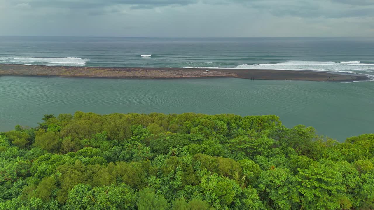 Aerial view of green mangrove forest on the coastline. Tropical rainforest nature. 4K Drones scenery.