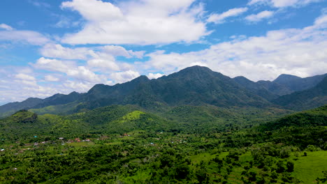 green vegetation on mountainous landscape of west bali in indonesia