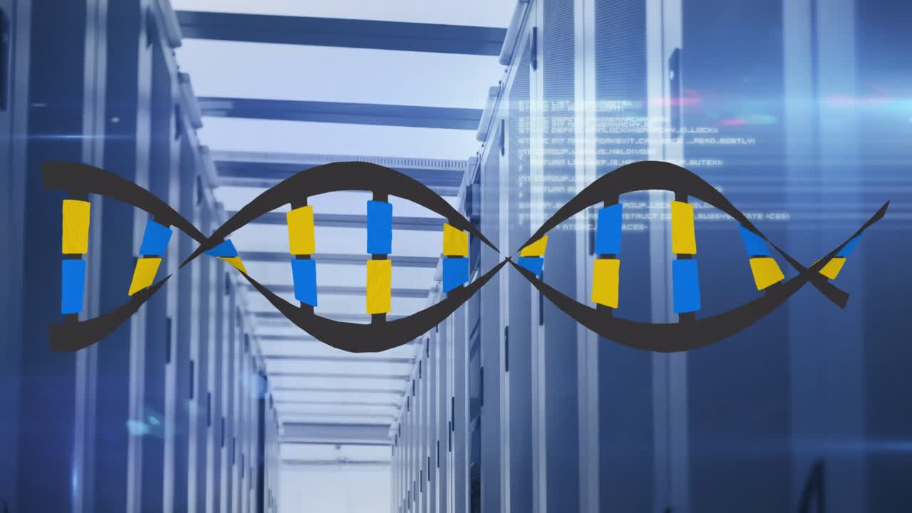 Animation of medical data processing over server room