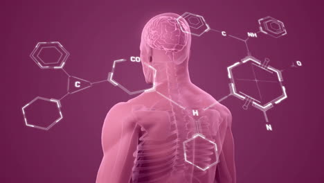 animación de la fórmula química sobre el humano digital