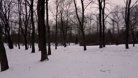 Hermosa-Escena-De-Nieve-Del-Parque-De-Invierno-Con-Nieve-Virgen-Profunda