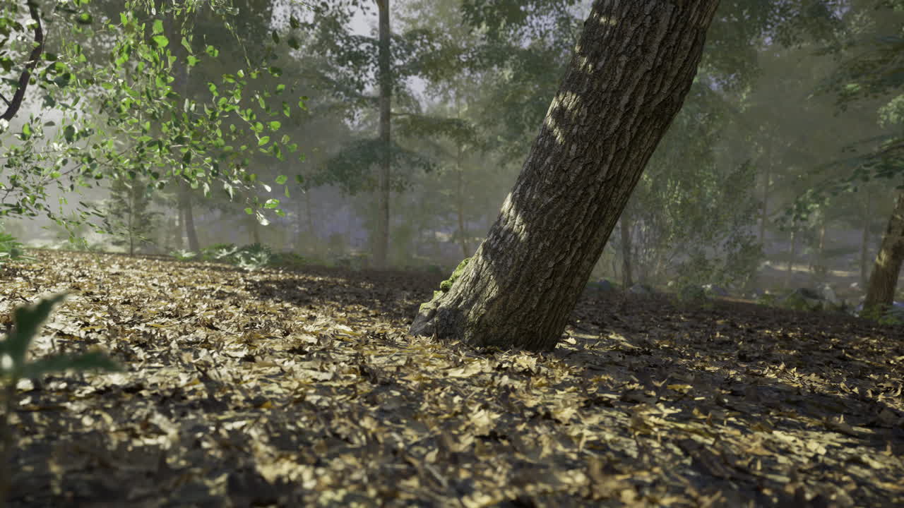 Forest landscape with a tilted tree and sun filtering through foliage