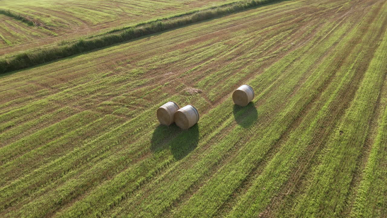 Aerial View of Bales of Hay in Flat Agricultural Farming Field in Countryside of Italy, Drone Shot