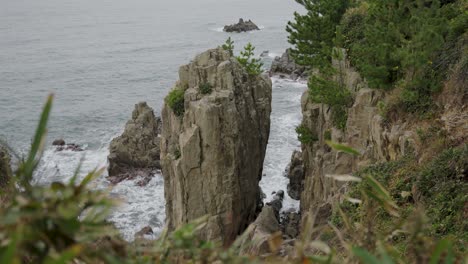 tojinbo cliffs on sea of japan in fukui