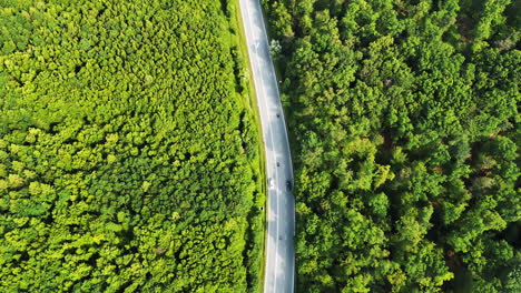 curvy road through green woods. aerial view of a curving road cutting through dense green foliage, showcasing nature's beauty in a rural area