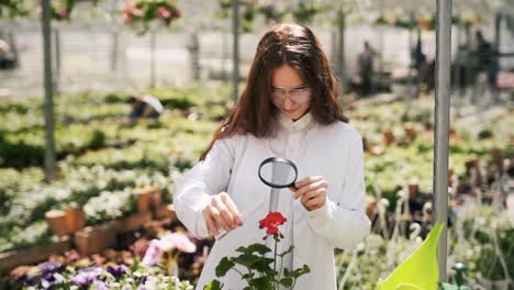woman scientist in a white coat with a magnifying glass and a test tube on a background of a greenhouse with plants