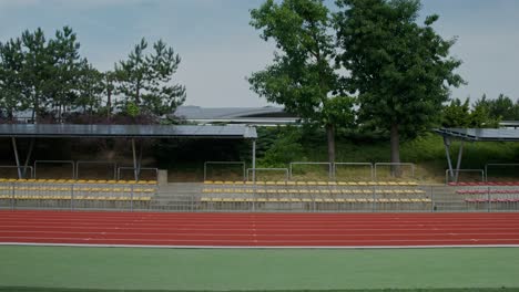 woman running on a track