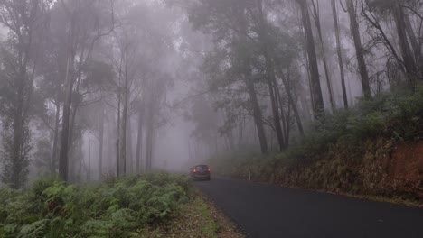 Car-travelling-through-Geehi-in-cloud,-Alpine-Way,-Kosciuszko-National-Park