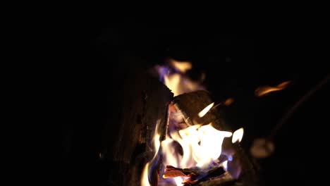 hot purple and pink flames surrounded by yellow white fire rise from logs