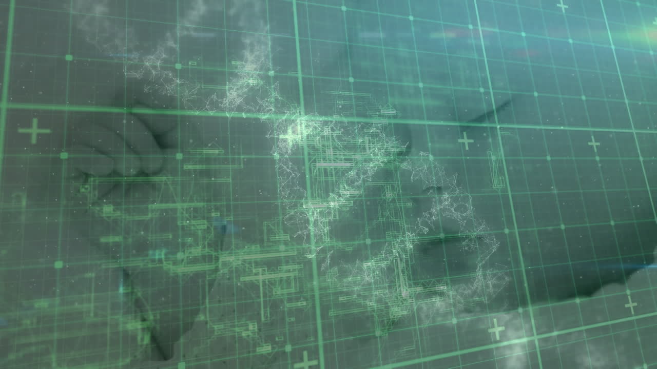 카우카시아 아기 잠자리에 대한 데이터 처리 및 dna 체인의 애니메이션