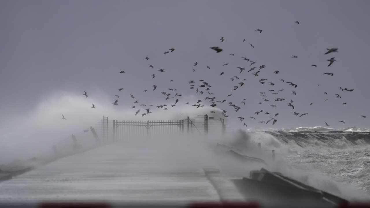 Powerful Storm at the Pier with Birds