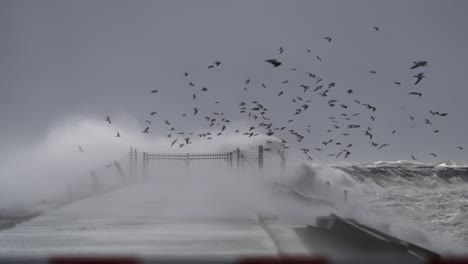powerful storm at the pier with birds