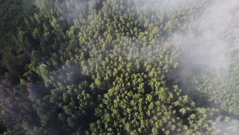 mist fog clouds from above aerial view over