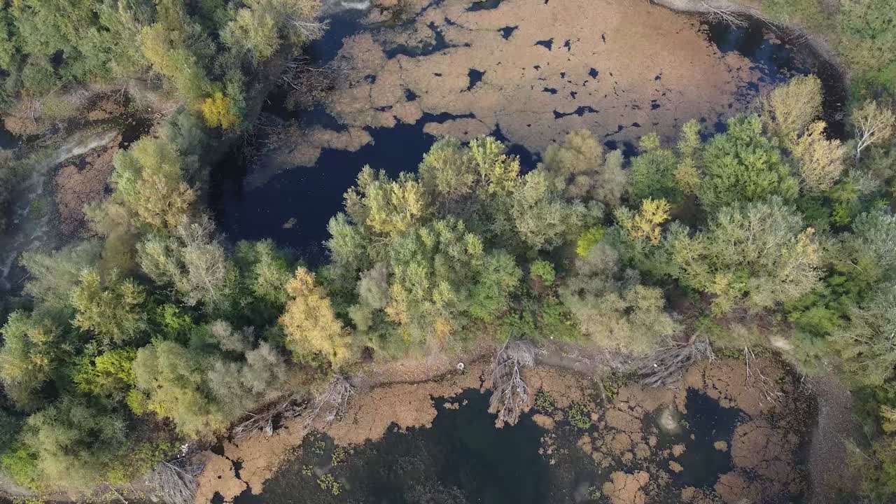 Acqua immobile di lago paludoso. Ripresa aerea. Bellissimo.