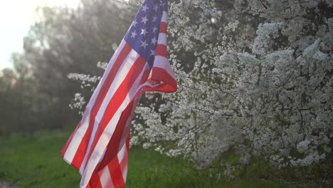 Flagge-Von-Amerika-Auf-Dem-Hintergrund-Eines-Blühenden-Baumes.-Politik,-Erlernen-Einer-Fremdsprache.-4.-Juli.-Gedenktag