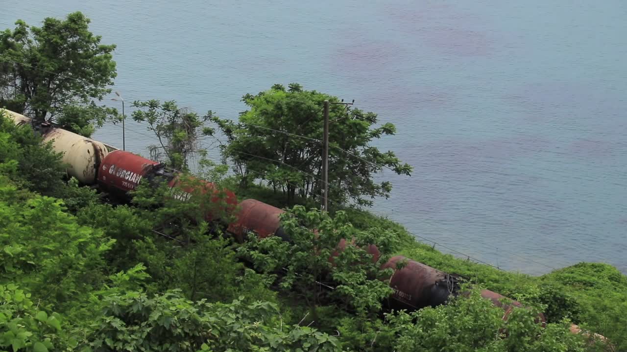 Overgrown train cars near the sea