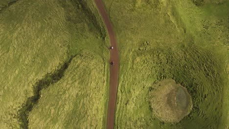 vista de arriba hacia abajo de drones de quads en un camino de tierra rodeado de un verde exuberante en la isla de são jorge, las azores, portugal