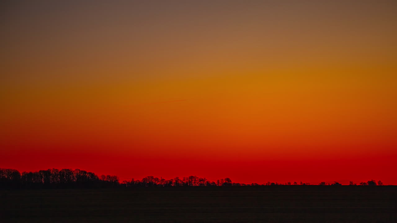 나무 줄 실루과 함께 빨간색과 오렌지색 하늘