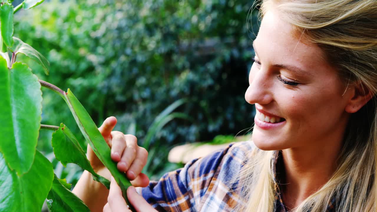여성 정원사 검사 식물
