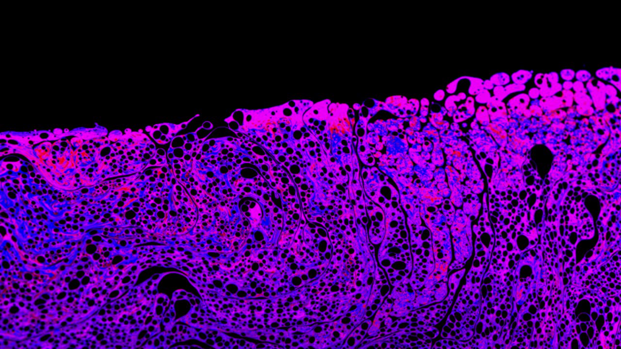 Neon Colors Moving Vertically with Irregularly Shapes Formed from Soap Surface