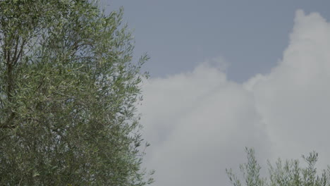 Nubes-De-Lapso-De-Tiempo-Con-Paisaje-En-Puglia-Italia