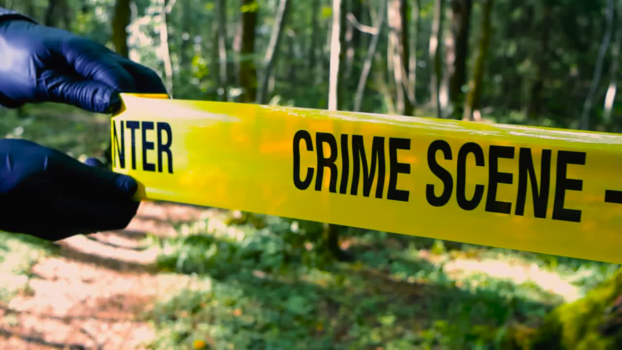 Close up view of a police investigator or detective unrolling or unraveling a forensics investigation Crime Scene Do Not Enter yellow tape in front of a sunny forest hiking trail with black gloves