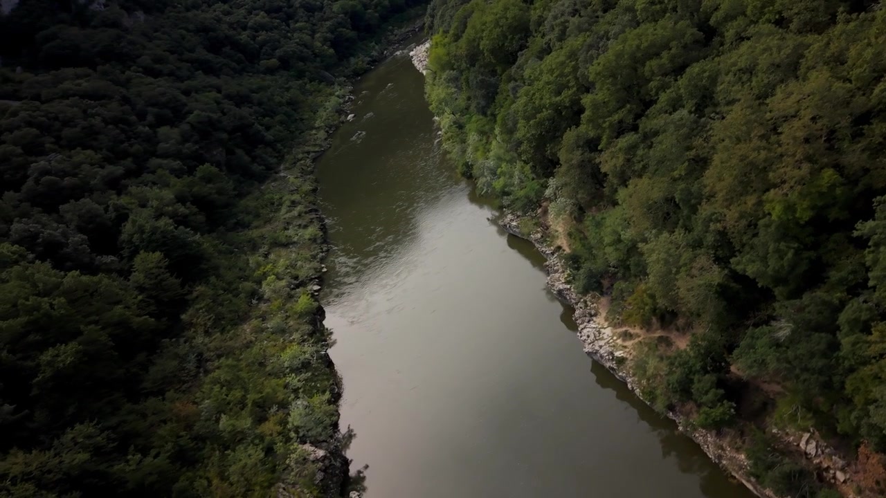Toma aérea de un río tranquilo serpenteando entre densos bosques verdes en la región de Auvernia-Ródano-Alpes de Francia