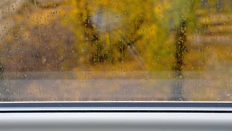 window pane view, rainy day weather. inside looking out at autumn, nature, trees changing colors.