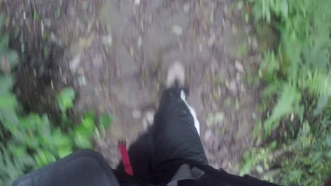 toma de vista en primera persona de pies caminando por un camino rocoso en una jungla tropical con basura pequeña tirada por ahí