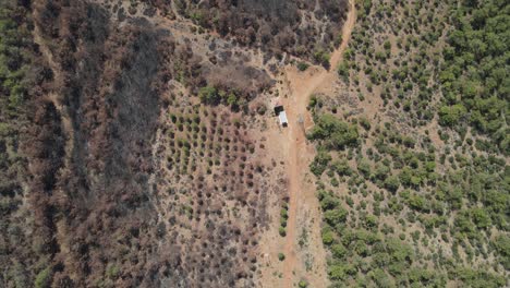 Forest-After-Fire-Overhead-View