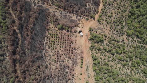 bosque después de un incendio vista aérea