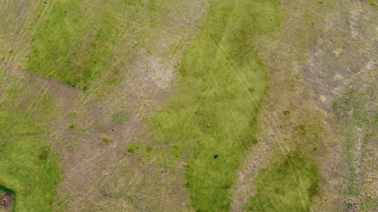 vista aérea del avión no tripulado volando sobre la tierra la hierba la naturaleza verde en el campo