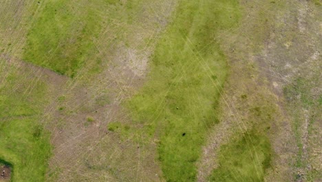 Aerial-view-drone-flying-over-land-grass-green-nature-in-the-countryside