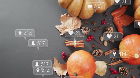 autumn decorations with pumpkins and leaves, social media notifications animation