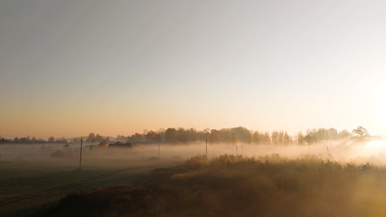 필드와 나무에 대한 조감도